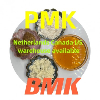 wanjiang offer cas 5449-12-7 bmk powder