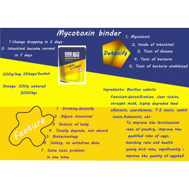Mycotoxin Binder