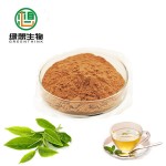 Hot selling Green Tea Extract Tea Powder polyphenol/ Catechin/EGCG