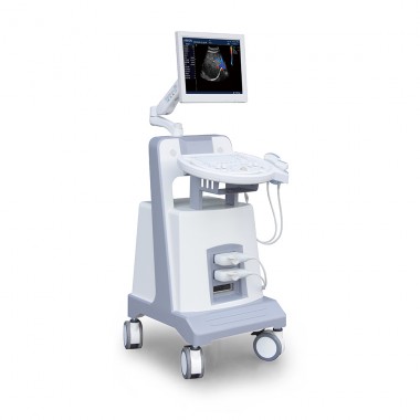 digital colour doppler fetal monitor portable ultrasound machine for pregnancy