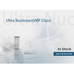 UltraNuclese solution(GMP-level)