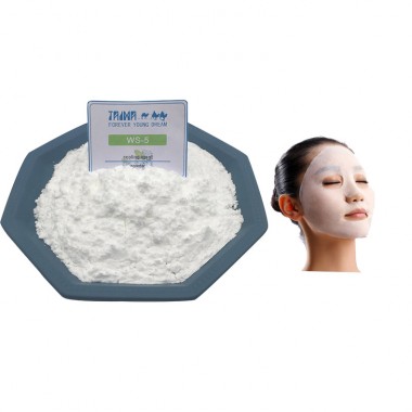 High Purity WS-5 Cooling Agent Long Lasting For Oral Care Products