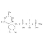 Cytidine5'-(tetrahydrogen triphos (CTP-Na2)