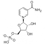 Beta-Nicotinamide Mononucleotide
