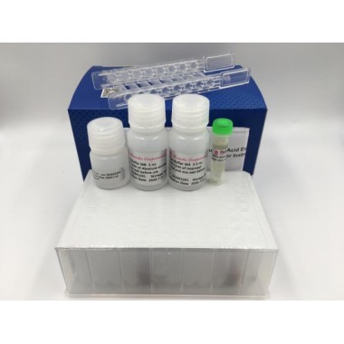 Viral DNA / Rna Nucleic Acid Extraction Kit Reagent Kits
