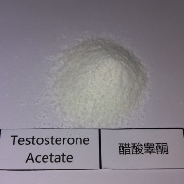 Hupharma Testosterone Acetate injectable steroids Powder