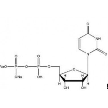 Uridine 5'-diphosphate disodium salt  UDP- Na2