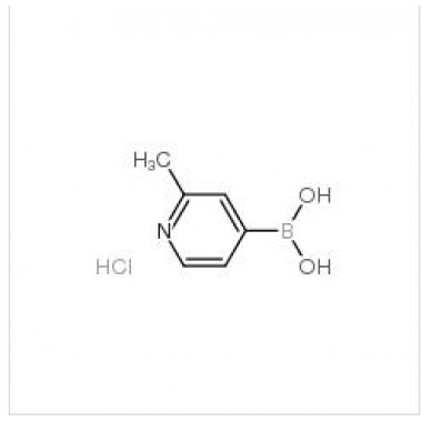 2-METHYL-4-PYRIDINEBORICACIDHCL