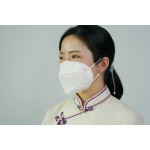 Factory OEM Disposable N95 Anti Dust / Pollution Mask Particulate Respirator  Mask