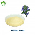 baikal skullcap root extract scutellaria lateriflora