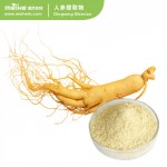 100% Natural Ginseng Extract with FDA ISO Test Method HPLC