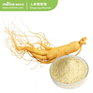 100% Natural Ginseng Extract with FDA ISO Test Method HPLC