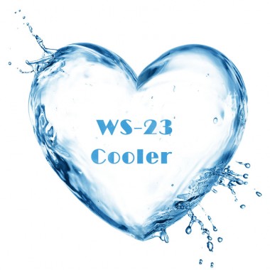 Food Grade Mint Cooling Agent WS-23 For Facial Cleanser Cool CAS 51115-67-4