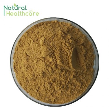 Flaxseed Extract 20% Lignans Brown Fine Powder for Female Health