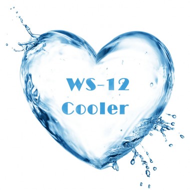 Food Grade Mint Cooling Agent WS-12 For Facial Cleanser Cool