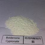 Injectable Boldenone Cypionate Steroid Powder for Sale