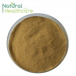 Supply 100% Pure Alpha Arbutin Powder Cosmetic and Whitening ,Bearberry Leaf Extract ,Arctostaphylos Uva-ursi