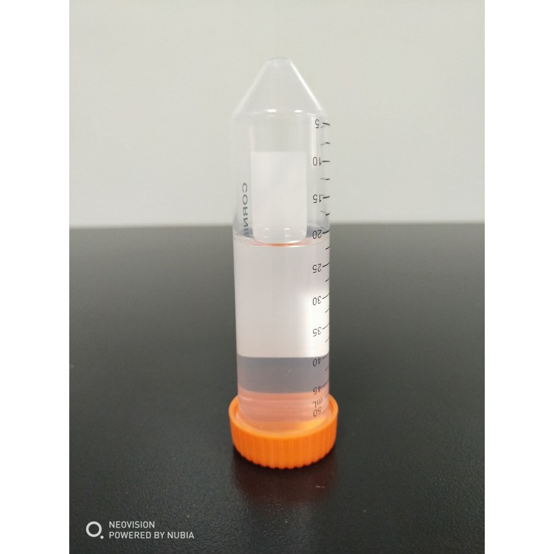 Tocilizumab- Shanghai TheraMabs Bio-technology co., LTD