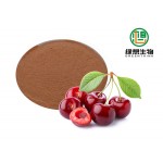 Natural Acerola Extract Vitamin C 17% 25% with top quality and low price