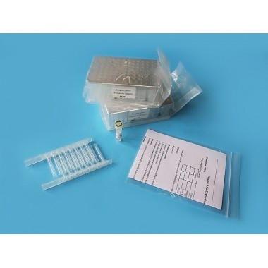 Ascend Plant Genomic DNA Nucleic Acid Extraction Kit
