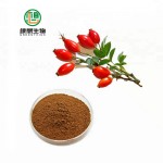 Reliable manufacture supply GMP ISO Certificated Pure Natural Rose Hip Extract Vitamin C powder