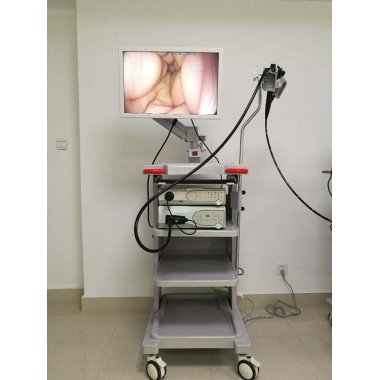 IN-P6100 Endoscope with gastroscope and colonoscope camera software