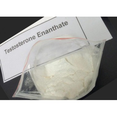 Testosterone Enanthate steroids raw material supply rachel