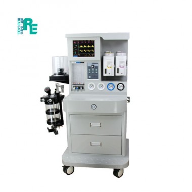 Readeagle3095 ARIES-2200Hot Sale Vet Anesthesia Instrument Anesthesia Machine with Mechanical Ventilator for Pet
