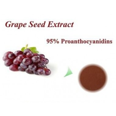 Grape Seed Extract Up to 95%