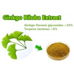 Natural Plant Raw Material Ginkgol biloba Leaf extract powder / Ginkgo flavone 24%,Ginkgolides 6%