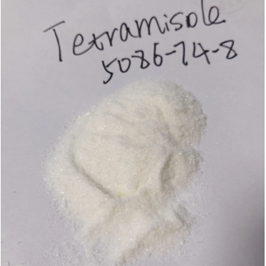 China Supplier CAS 5086-74-8 Veterinary Drug Tetramisole Hydrochloride / Tetramisole