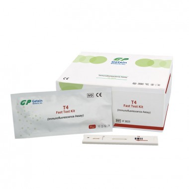 T4 typhoid rapid test kit with great price