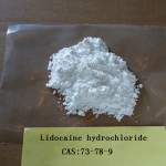 Hupharma Lidocaine HCL local anesthetic Lidocaine hydrochloride