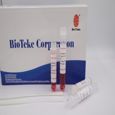 High Quality Transparent Plastic  Blood PP Material Disposable Virus Sampling Swab Tube