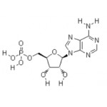 Adenosine 5'-monophosphate (AMP)