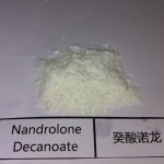 Anabolic Nandrolone Decanoate Steroid Deca Durabolin for Body Building