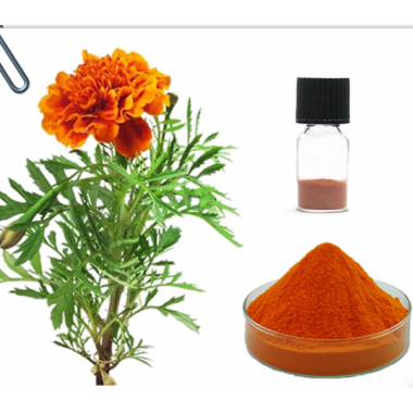 marigold extract Lutein and Zeaxanthin Powder UV/HPLC 5%-90%