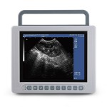 portable vet ultrasound system electronic Large small Animals ultrasound machine