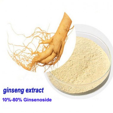 Factory 100% Natural Organic Ginseng Panax Root/Leaf Extract Powder 15%-80%ginsenoside
