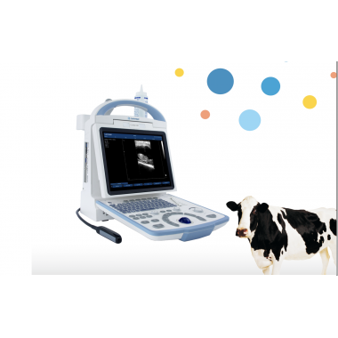 Veterinary B/W ultrasound machine