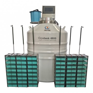 gas phase cryo dewar liquid nitrogen tank