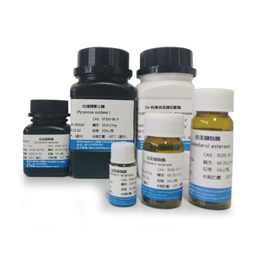 Clinical enzyme product