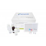 Supply ELISA Kits,Antibodies,Cells for Biotech research