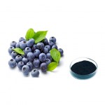 ISO Certificated 100% Natural Blueberry Extract Powder Anthocyanosides