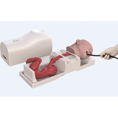 Upper GI endoscope training model