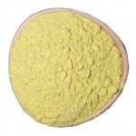 Bromonordiazepam Powder CAS:2894-61-3
