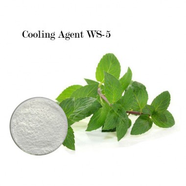 Food Grade 99.985% Pure Cooling Agent Powder WS-3 For Toothpast / Chewing