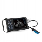 Color ultrasound with HD display for animals