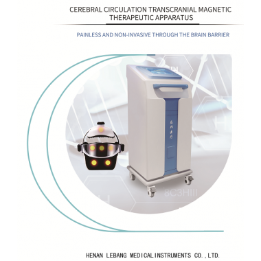Transcranial magnetic therapy apparatus