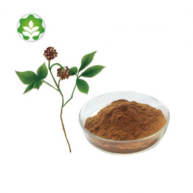 top quality siberian ginseng p.e kidney tonic stress relief powder